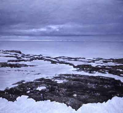 Kaktovik Lagoon Alaska Painting by David Rosenthal